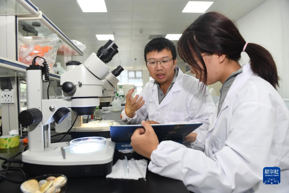 金沙白菜网